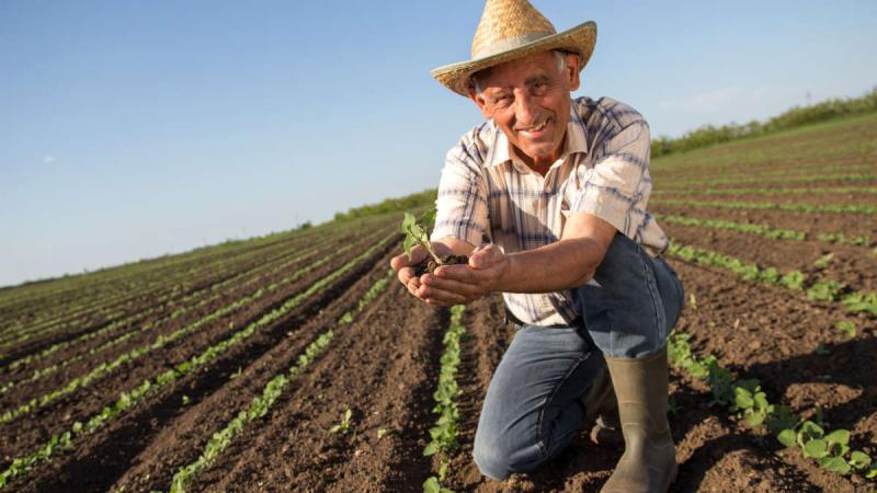 Congreso debatirá hoy iniciativa que propone crear un régimen previsional especial de pensiones para los agricultores