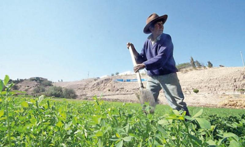 Congreso debatirá hoy reestructuración de deuda de agricultores afectados