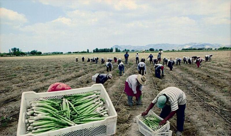 Congreso no remitió al Ejecutivo autógrafa para ampliar régimen agrario