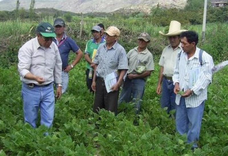 Congreso promulgó Ley que declara de interés nacional la creación de un plan de rescate financiero a mypes afectadas por el Niño Costero