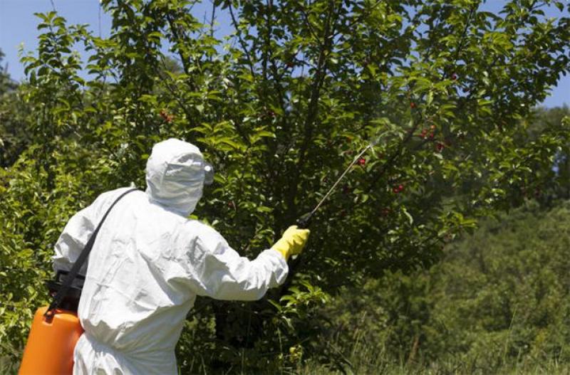 Consenso global para el manejo de los Plaguicidas Altamente Peligrosos en agricultura