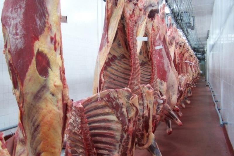 CONSUMO MUNDIAL DE CARNE CRECIÓ 1,6% EN 2012