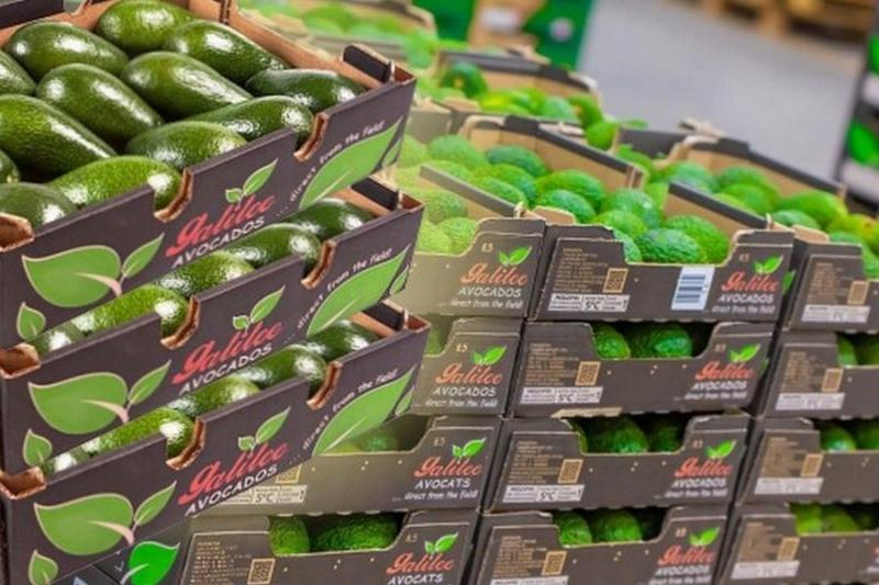 Continúa la fuerte demanda europea por palta de Israel