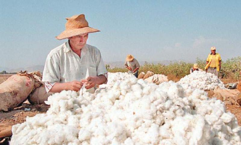 CONVEAGRO DEMANDA DEROGAR NORMA QUE ELIMINA ARANCELES A CADENA ALGODÓN – TEXTILES