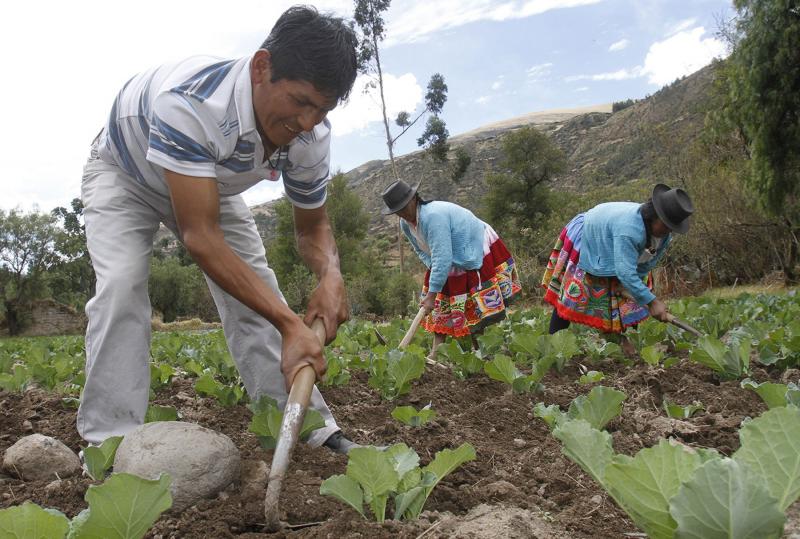 CONVEAGRO HARÁ CONTROL POLÍTICO PARA CUMPLIMIENTO DE PLAN ‘AGRO PRÓSPERO’ DE PPK