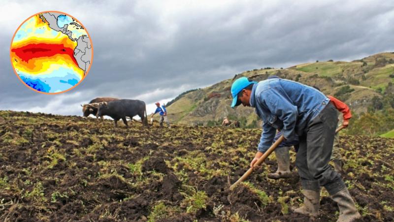 Conveagro solicita declarar en emergencia al sector agropecuario ante llegada de El Niño