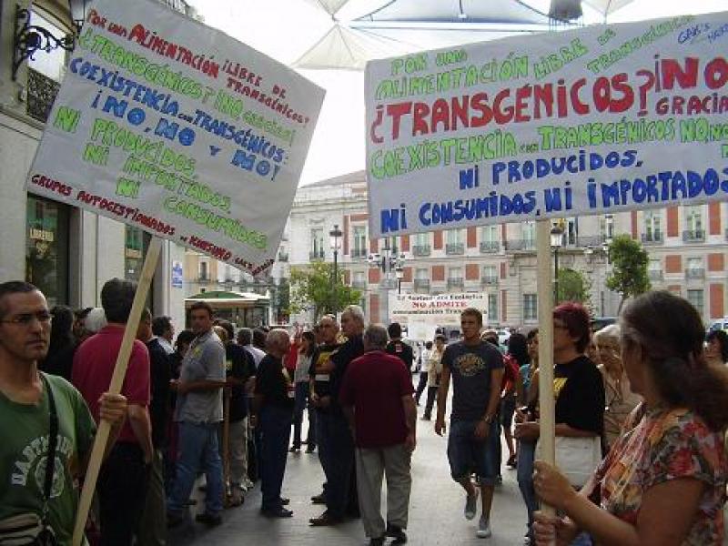 Conveagro solicita la promulgación de Ley de Moratoria Indefinida de Transgénicos