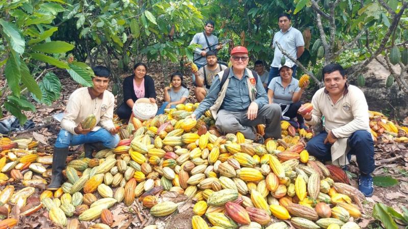 Cooperativa Agraria Sonomoro del VRAEM exporta 150 toneladas de cacao orgánico a mercados de Europa