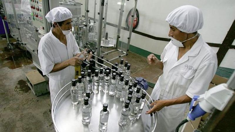 Crecimiento de la producción de pisco caería de 12% a 4% por factores climáticos adversos