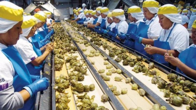 Crecimiento: Más de 2,400 agroexportadoras se registraron hasta septiembre