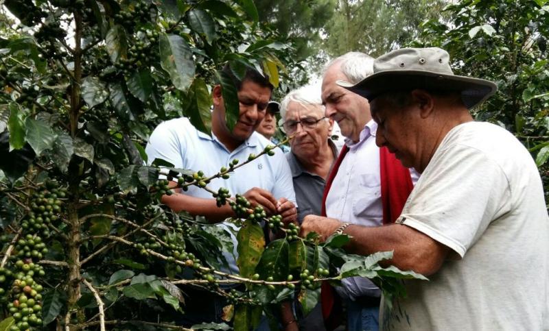 CUSCO EXPORTÓ PRODUCTOS AGROINUDSTRIALES POR US$ 4.6 MILLONES EN LOS PRIMEROS CUATRO MESES DEL 2016