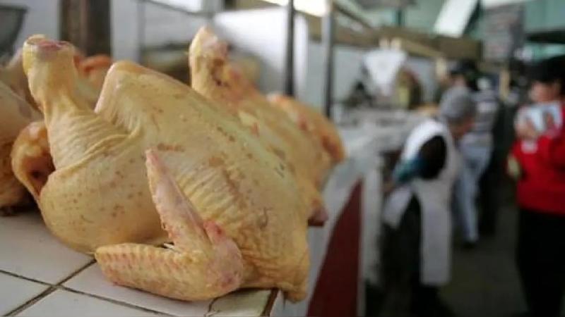 Cusco: Senasa declaró cuarentena por presencia de gripe aviar en puntos de venta de pollo