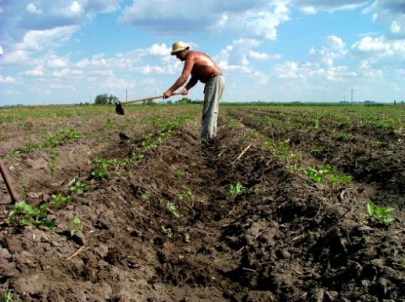 DESACELERACIÓN DEL CRECIMIENTO ECONÓMICO Y ALTA VARIABILIDAD CLIMÁTICA