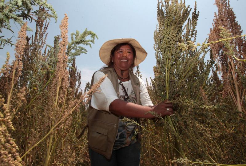 Desarrollo de la agricultura familiar reducirá la pobreza en zonas rurales