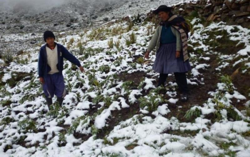 DESCENSO DE TEMPERATURAS EN LA SIERRA NORTE Y CENTRAL CONTINUARÁN HASTA MAÑANA