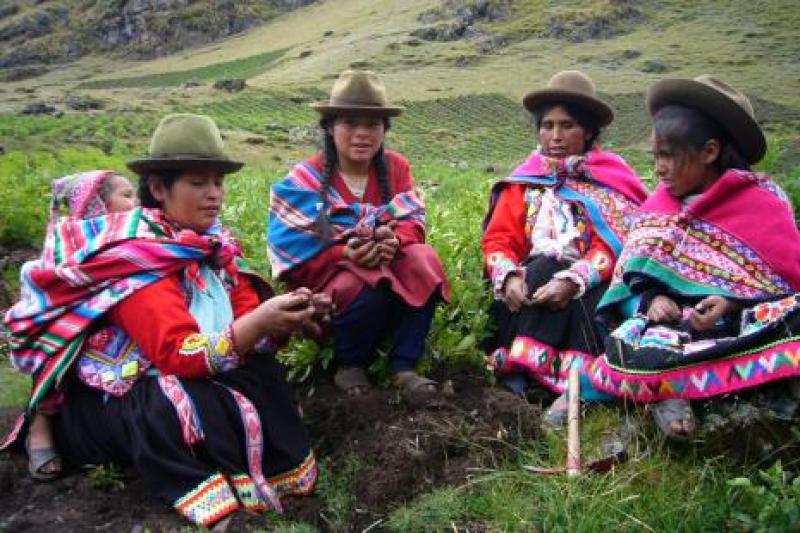 DESIGUALDAD DE GÉNERO PERSISTE EN MANO DE OBRA AGRÍCOLA