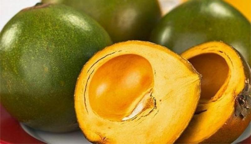 Despachos al exterior de pulpa de lúcuma llegaron a US$ 482 mil durante los primeros cinco meses del presente año