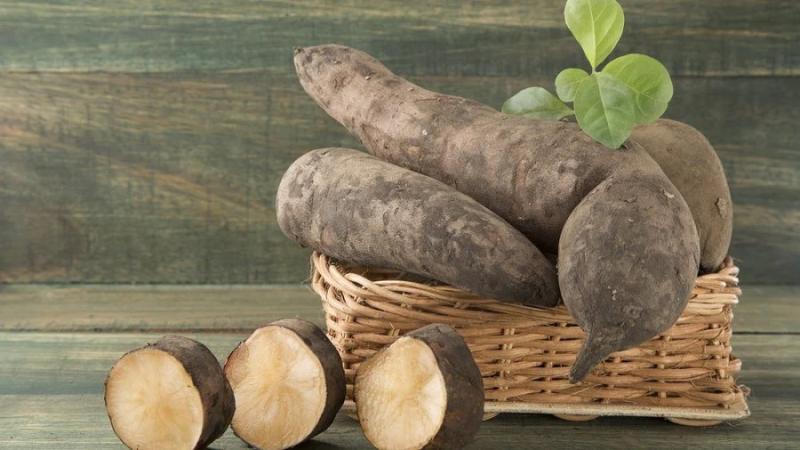 Despachos de yacón peruano crecieron un 32.2% en primer cuatrimestre del año