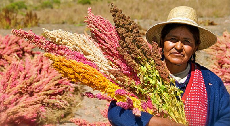 DESTACAN CONTRIBUCIÓN DE PUEBLOS INDÍGENAS AL DESARROLLO ECONÓMICO