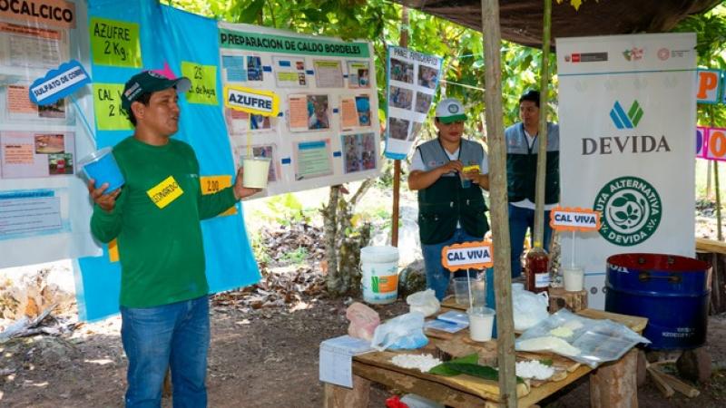 Devida capacita a 1200 agricultores para reforzar producción de cacao en San Martín