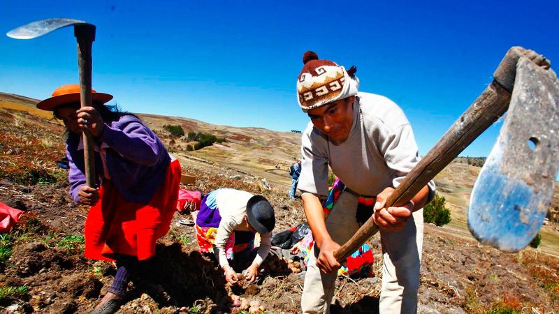 Día del Campesino