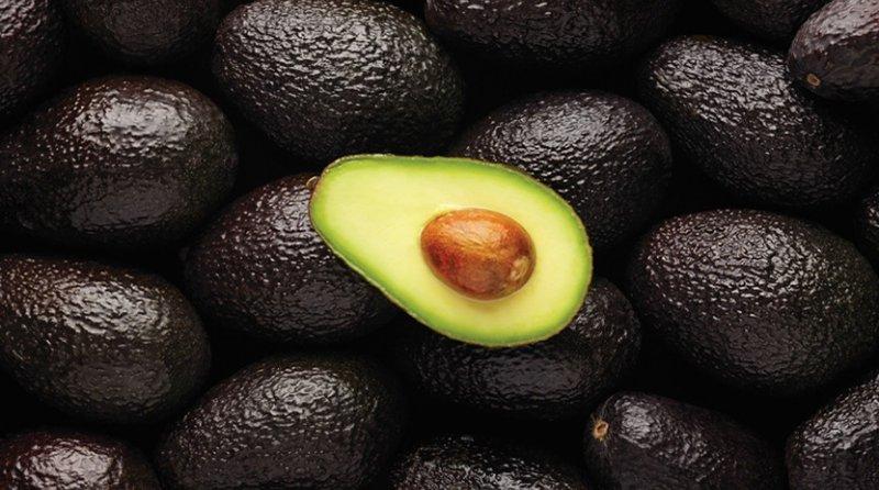 Drokasa logra nuevo récord y cosecha más de 38.400 toneladas de palta Hass