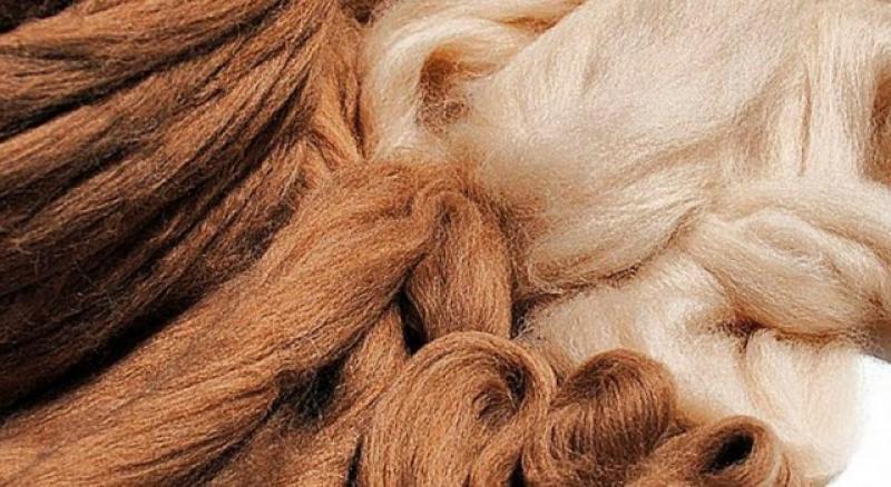 Durante el primer bimestre se lograron exportaciones de pelo fino de alpaca por US$ 13.9 millones