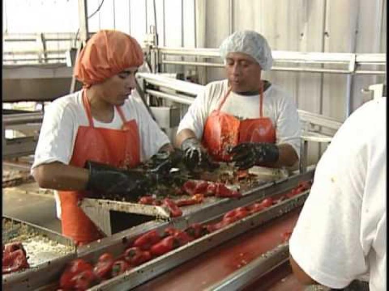 Ecosac exportará conservas de pimiento piquillo y morrón a Argentina