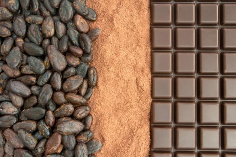 EL 40% DEL CACAO EXPORTADO TIENE VALOR AGREGADO