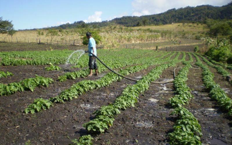 El 66% del agua que podría ser utilizada para riego se pierde porque no hay dónde almacenarla