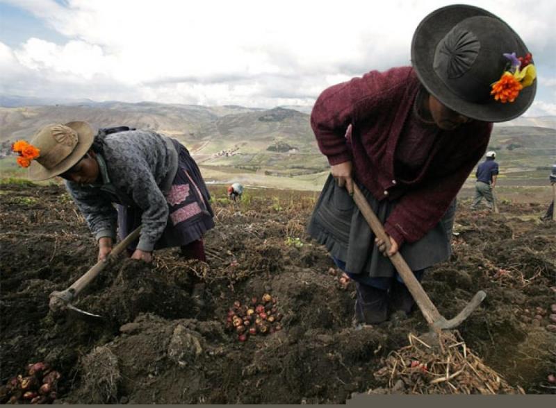 EL 9.5% DEL PBI DE PERÚ ESTÁ EXPUESTO AL CAMBIO EN EL CLIMA