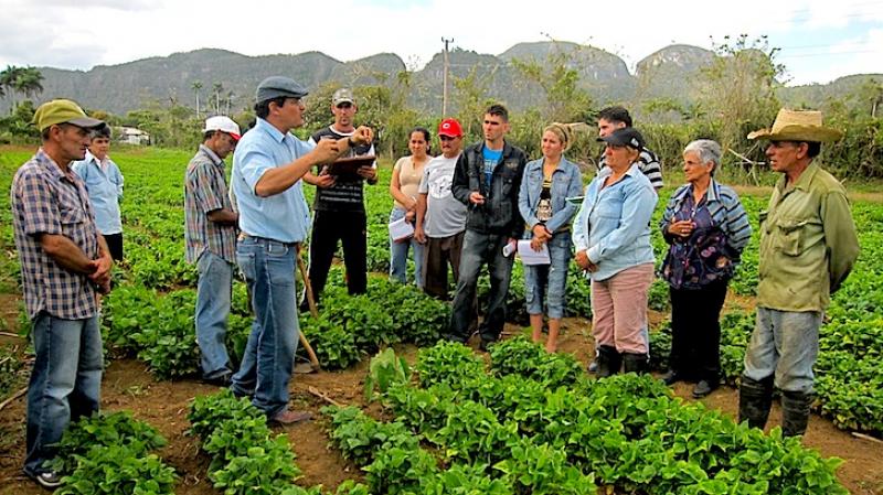 El apoyo técnico es clave para el desarrollo sostenible del cooperativismo de las Américas