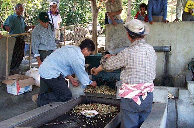 EL CONSUMO DE ELECTRICIDAD AUMENTA EN POBLADOS DE CUSCO, LORETO Y CAJAMARCA 