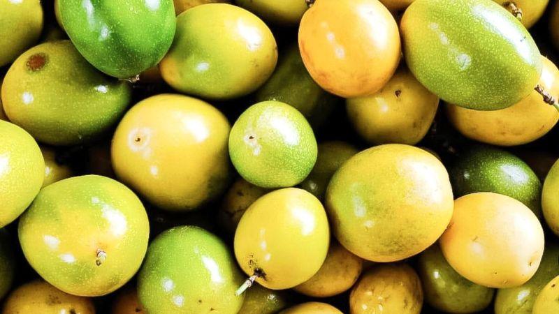 El maracuyá de Quilmaná fortalece sus oportunidades de negocio con una nueva articulación comercial