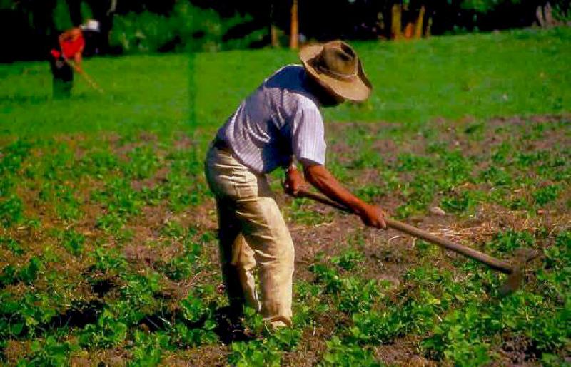 EL NÚMERO DE PRODUCTORES CON EDUCACIÓN SUPERIOR SE INCREMENTÓ 263%