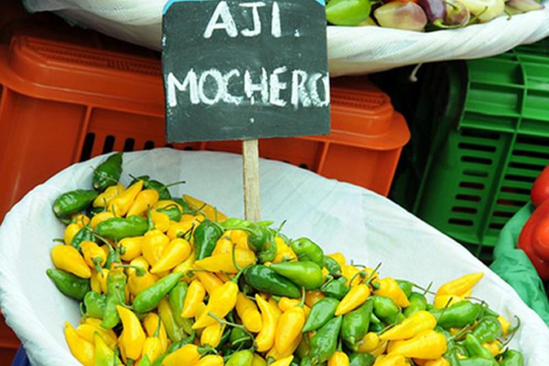 El próximo año se espera obtener denominación de origen para el ají mochero de La Libertad