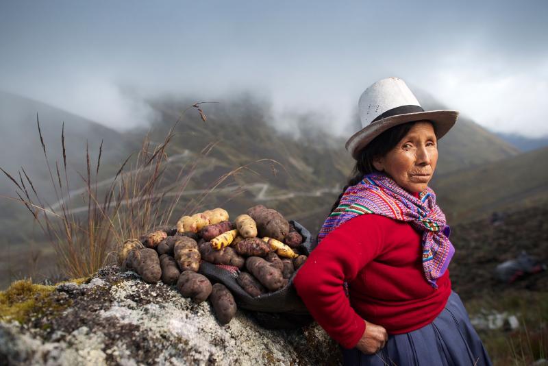 EL ROL DEL SECTOR AGRÍCOLA EN ESTE NUEVO ESCENARIO POLÍTICO