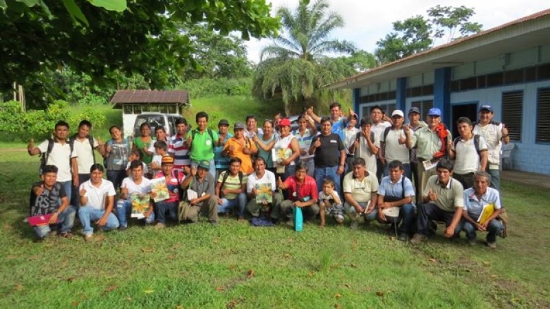 El suelo es el principal factor en la producción del cacao