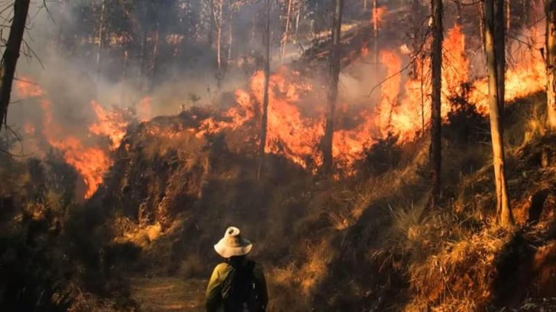 Emergencia Nacional: ya son 22 las regiones afectadas por incendios forestales fuera de control