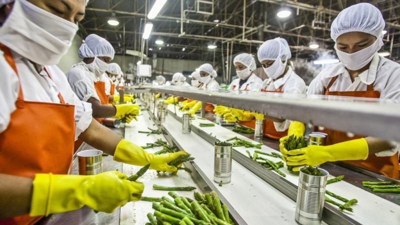 Empleos vinculados a las exportaciones agroindustriales caen -7.7% en abril de 2024