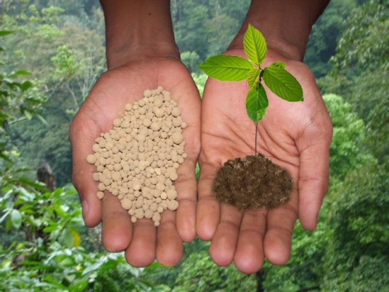 EMPRENDEN INICIATIVAS PARA LA CONSERVACIÓN DE LA AGROBIODIVERSIDAD