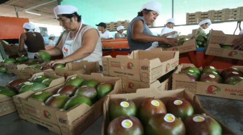 EMPRESA SURCOREANA INTERESADA EN FRUTAS Y VEGETALES CONGELADOS PERUANOS 