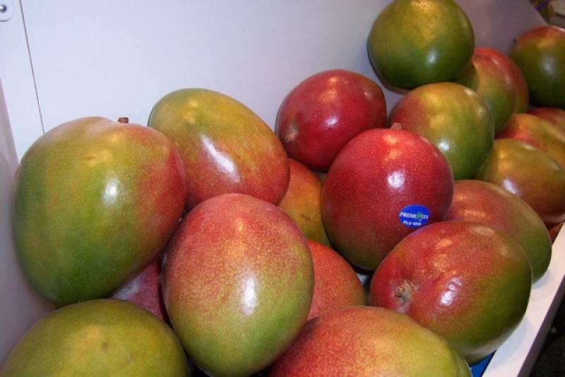 EMPRESAS AGROINDUSTRIALES Y PESQUERAS DE PIURA SE REUNIRÁN CON COMPRADORES EXTRANJEROS