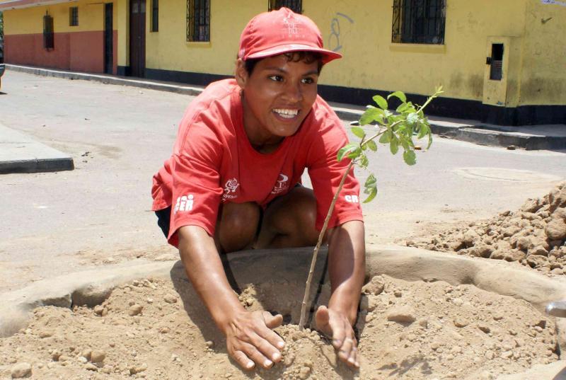 EN EL 2014, CAJAMARCA ESTARÍA REFORESTADA AL 90%