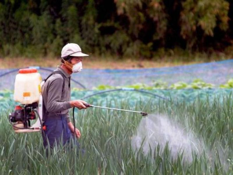 EN PERÚ, LA COSTA ES LA REGIÓN NATURAL DONDE MÁS SE USA INSECTICIDAS 