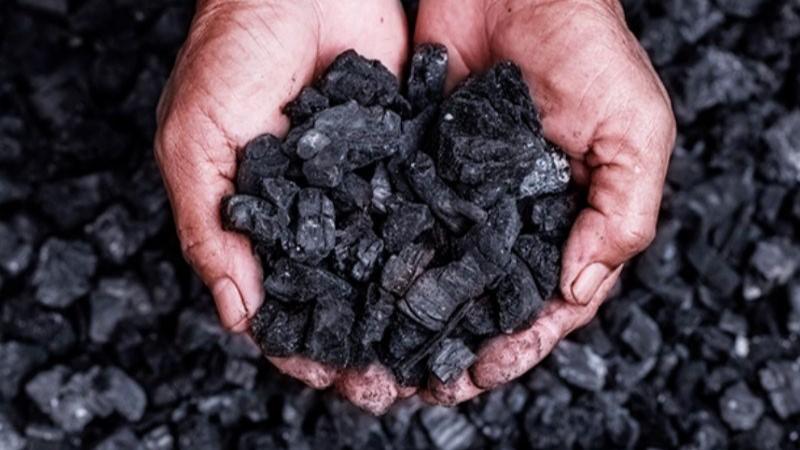 En Piura se construirá primera planta de biochar para impulsar la agricultura regenerativa