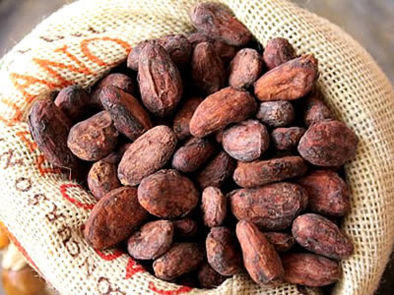 ENVÍO DE CACAO GRANO TOSTADO CRECIÓ EN VALOR 463% EN PRIMER TRIMESTRE DEL AÑO