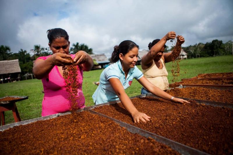 Envíos agropecuarios del oriente crecieron 14.2% en 2018