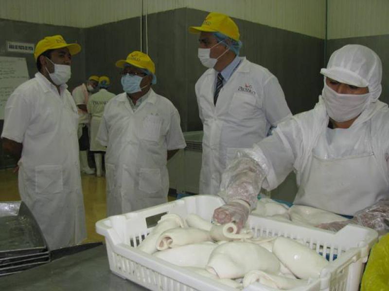 ENVÍOS DE POTA ALCANZARON LOS US$ 198.4 MILLONES