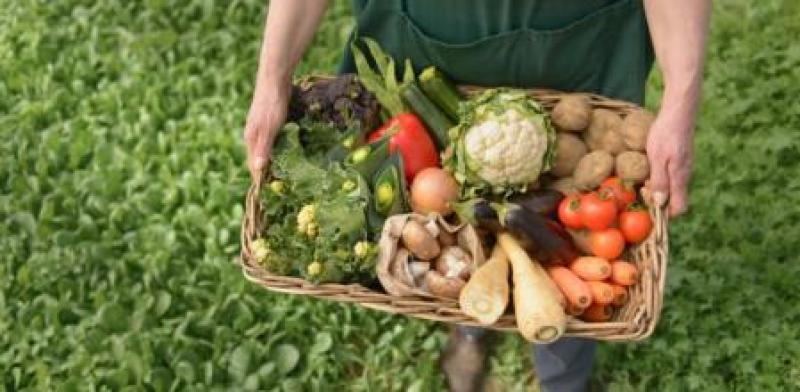 España lidera la agricultura ecológica en Europa